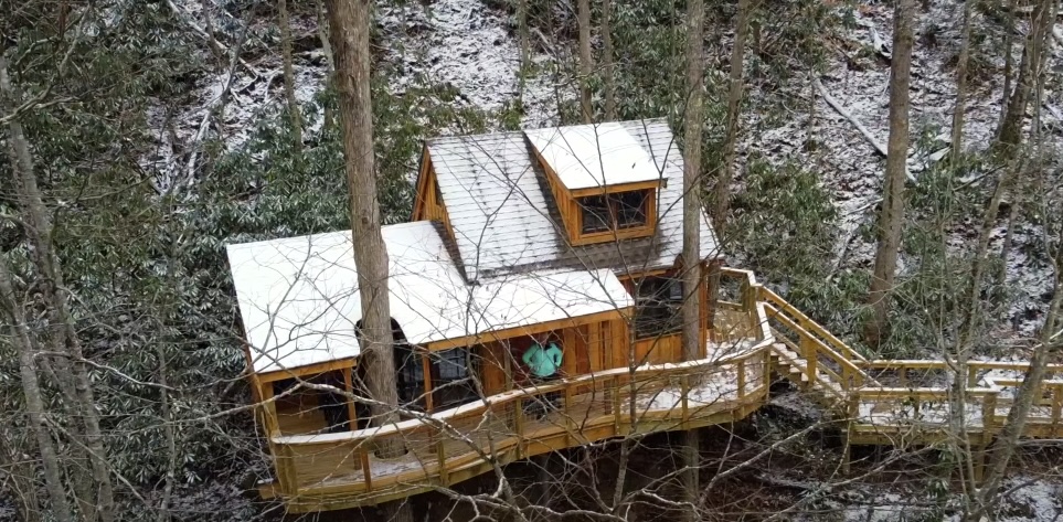 Treehouse Grove at Norton Creek from above in the forest