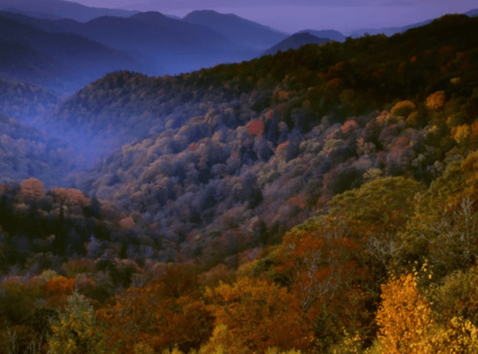 Explore the Top Family-Friendly Destinations in Tennessee: Unforgettable Adventures Await